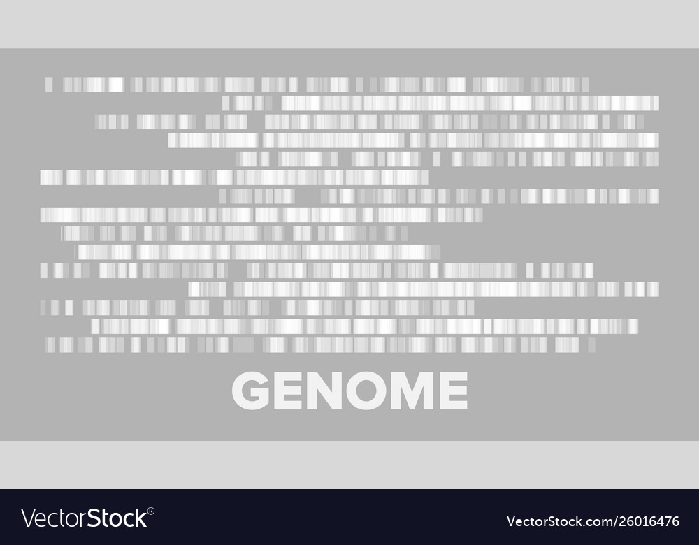 Horizontal big genomic data visualization vector image Horizontal big genomic data visualization