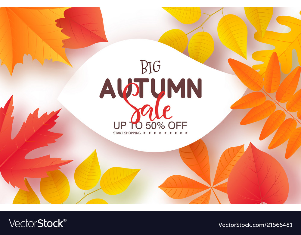 Autumn sale poster with colorful leaves