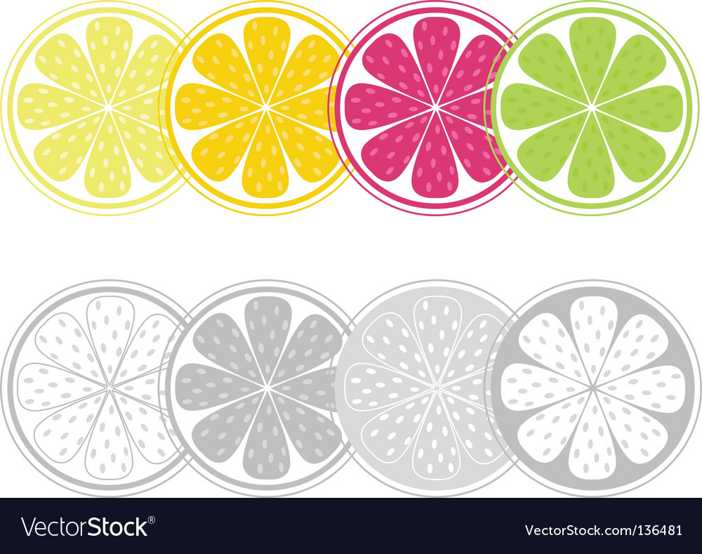 Citrus Slice Background