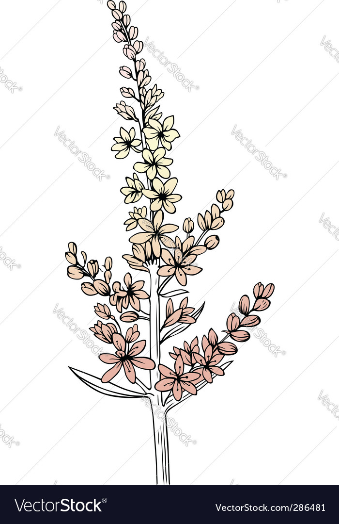 Easy to edit download combine resize and use image