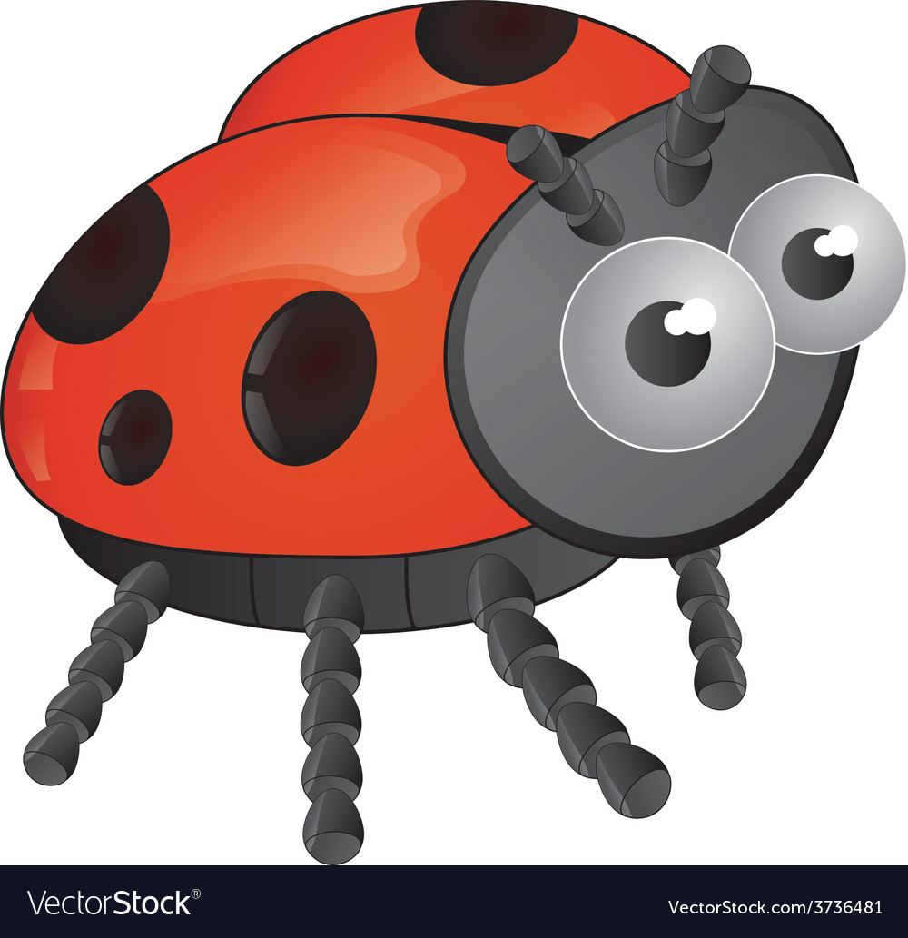 Ladybug Royalty Free Vector Image - VectorStock