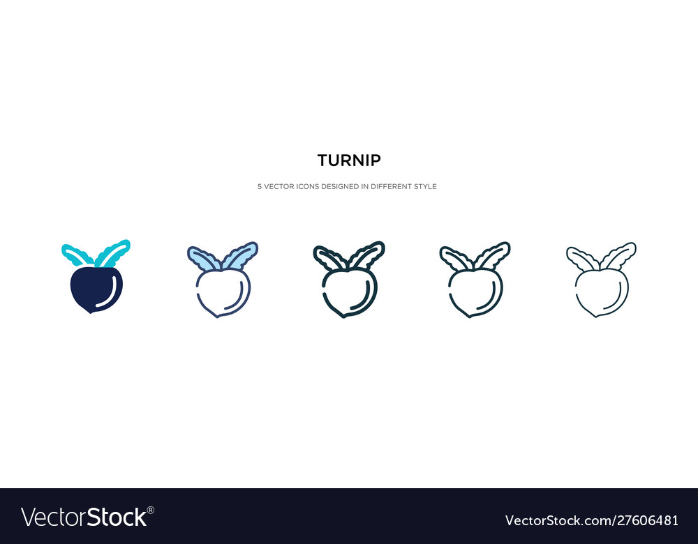 Turnip icon in different style two colored