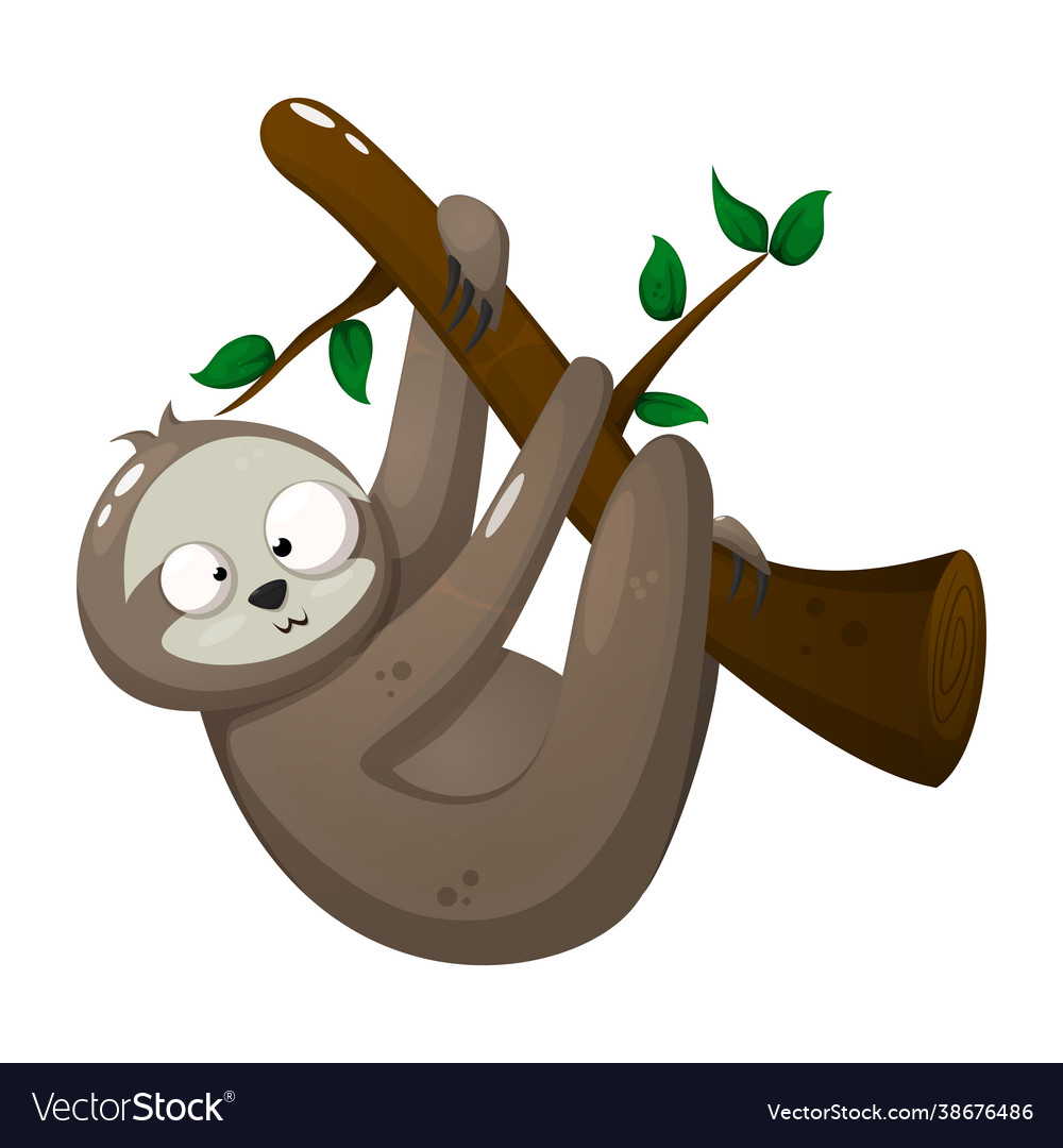 Crazy sloth hanging on tree branch with leafs