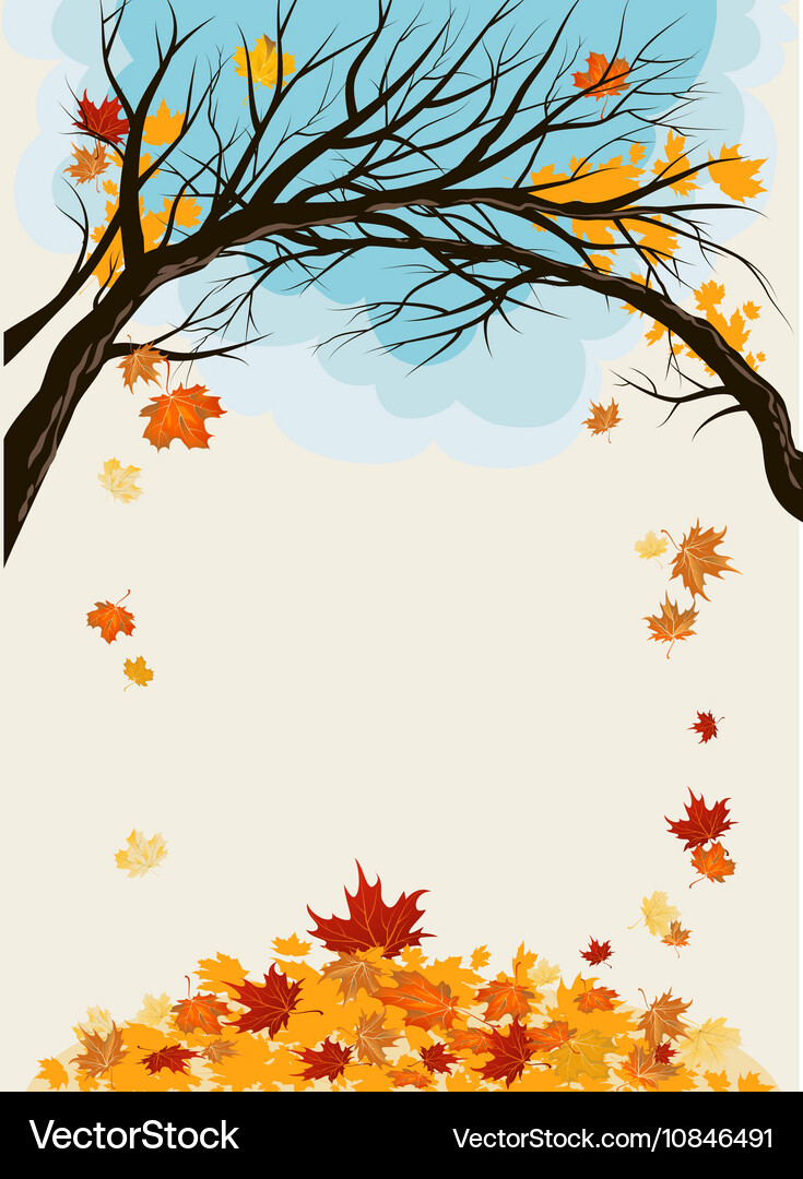 Maple leaves background Royalty Free Vector Image
