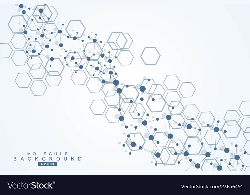 Science network pattern connecting lines and dots vector image Science network pattern connecting lines and dots