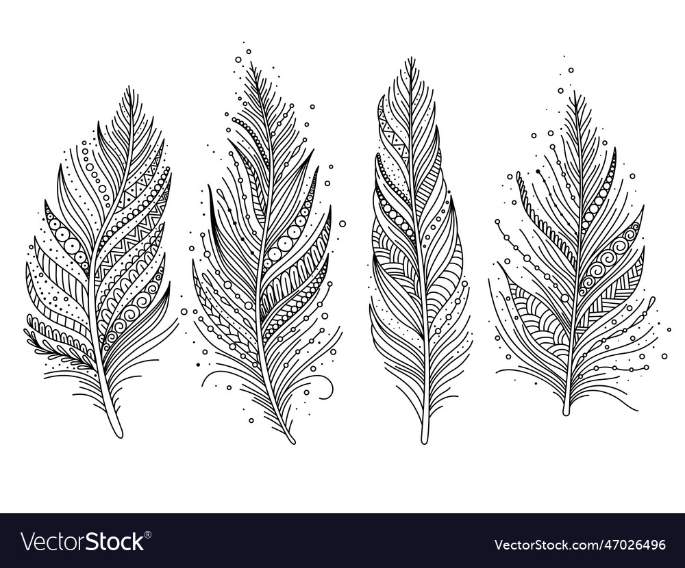 Black and white feathers Royalty Free Vector Image