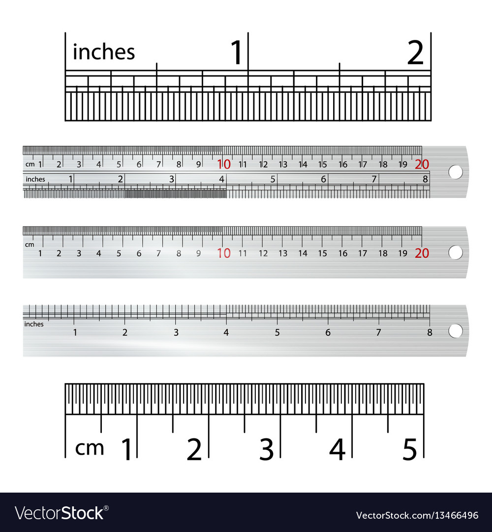 Metric imperial rulers centimeter and inch Vector Image