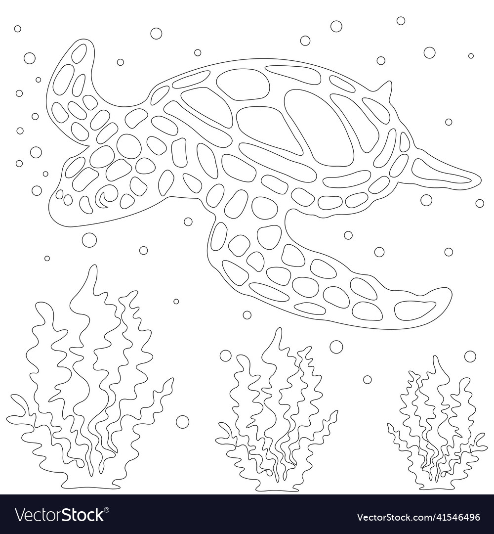 Turtle in algae with bubbles vector image Turtle in algae with bubbles