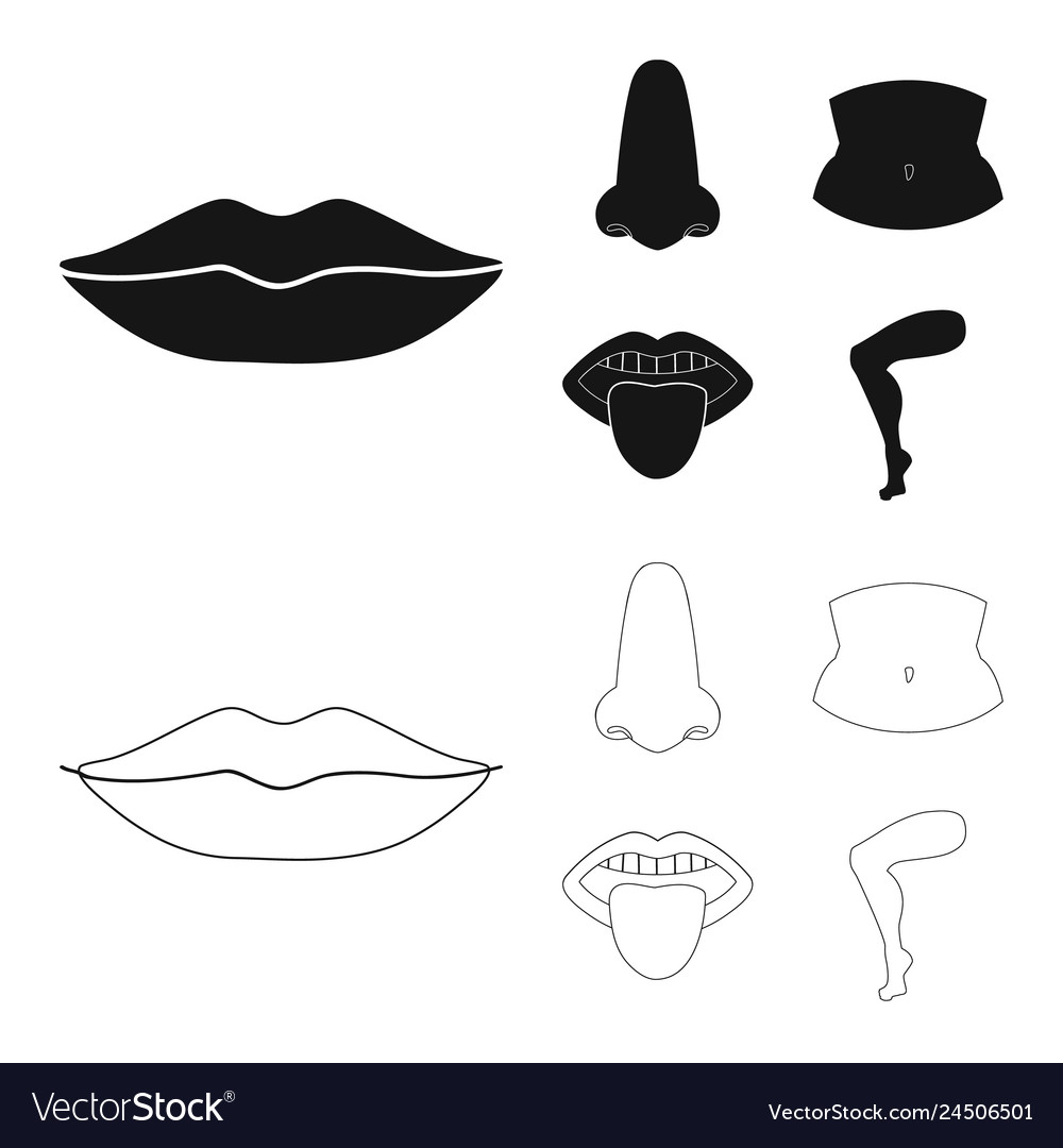 Design of body and part icon set vector image Design of body and part icon set
