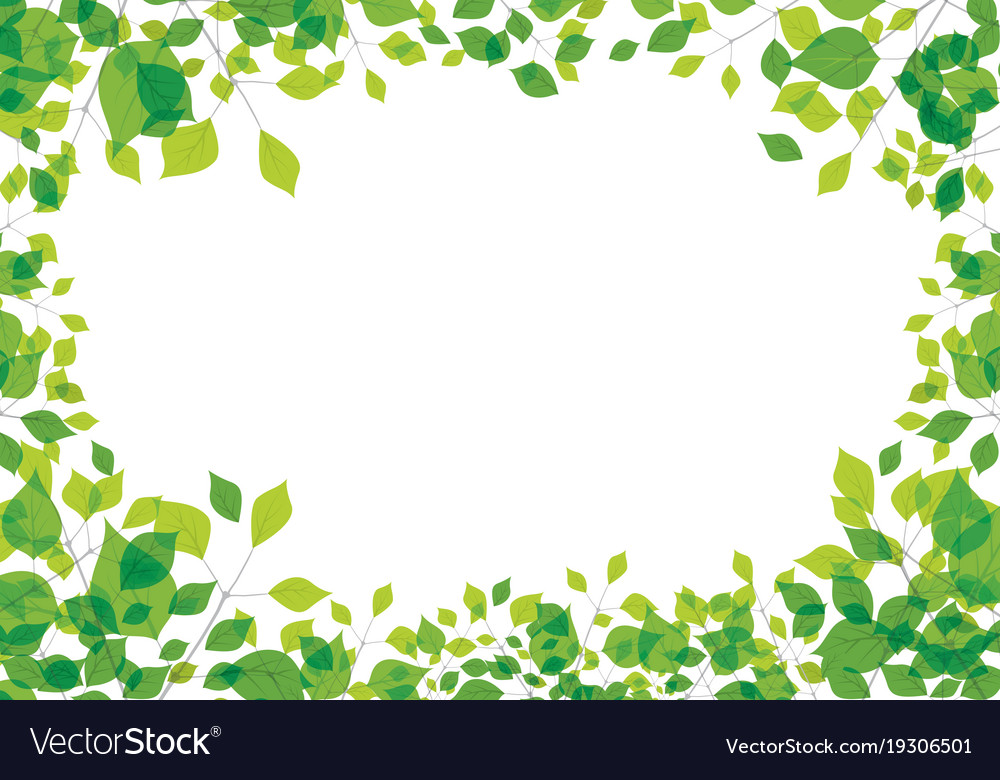 Leaf background design