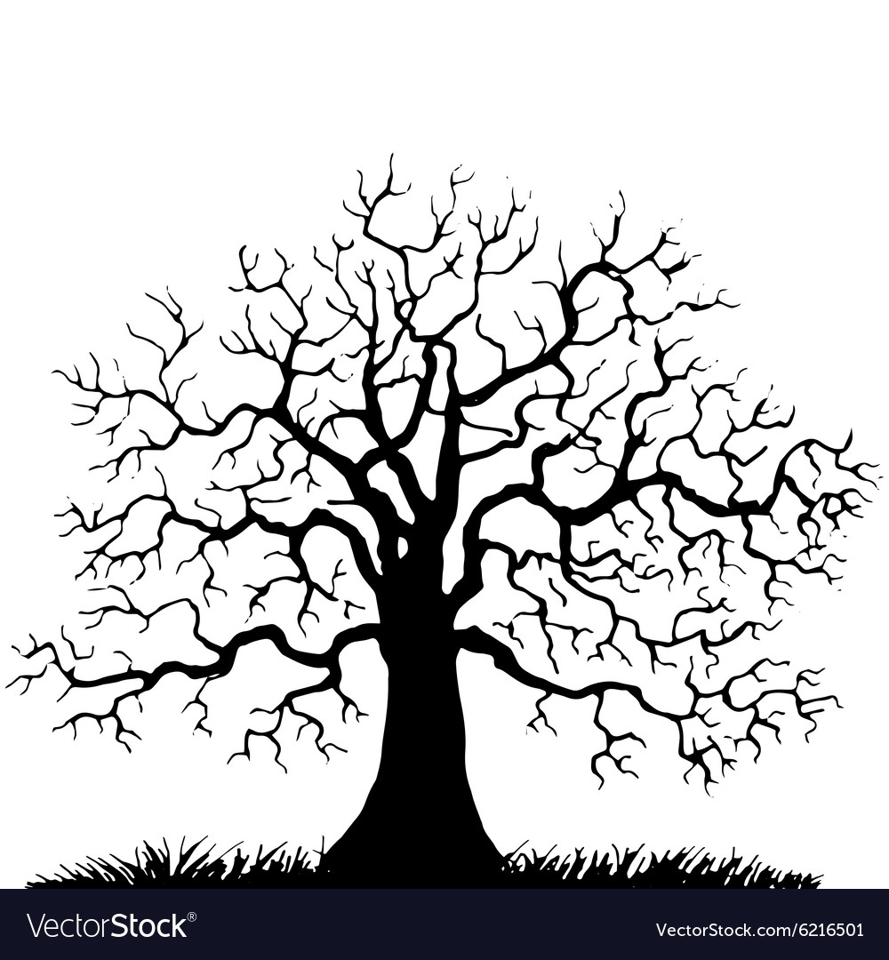 Old Tree With No Leaves High-Res Vector Graphic - Getty Images