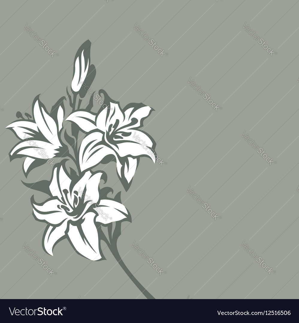 Background with lilies Royalty Free Vector Image
