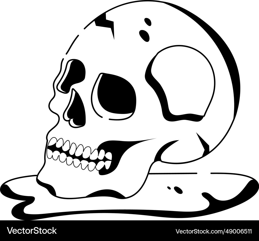 Human skull Royalty Free Vector Image - VectorStock