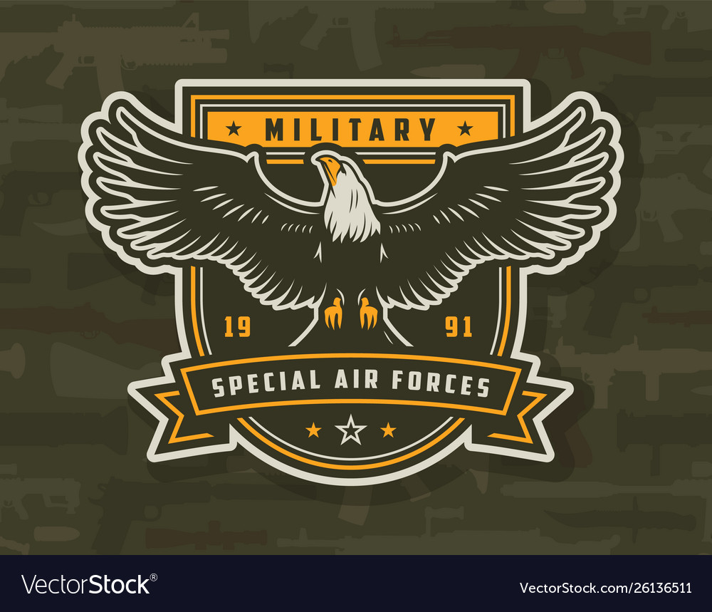 Special air forces colorful badge Royalty Free Vector Image