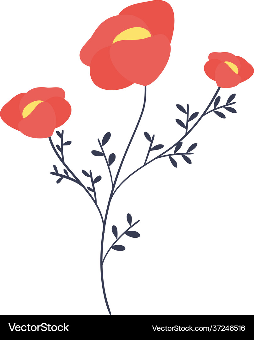 Flowers with stem Royalty Free Vector Image - VectorStock