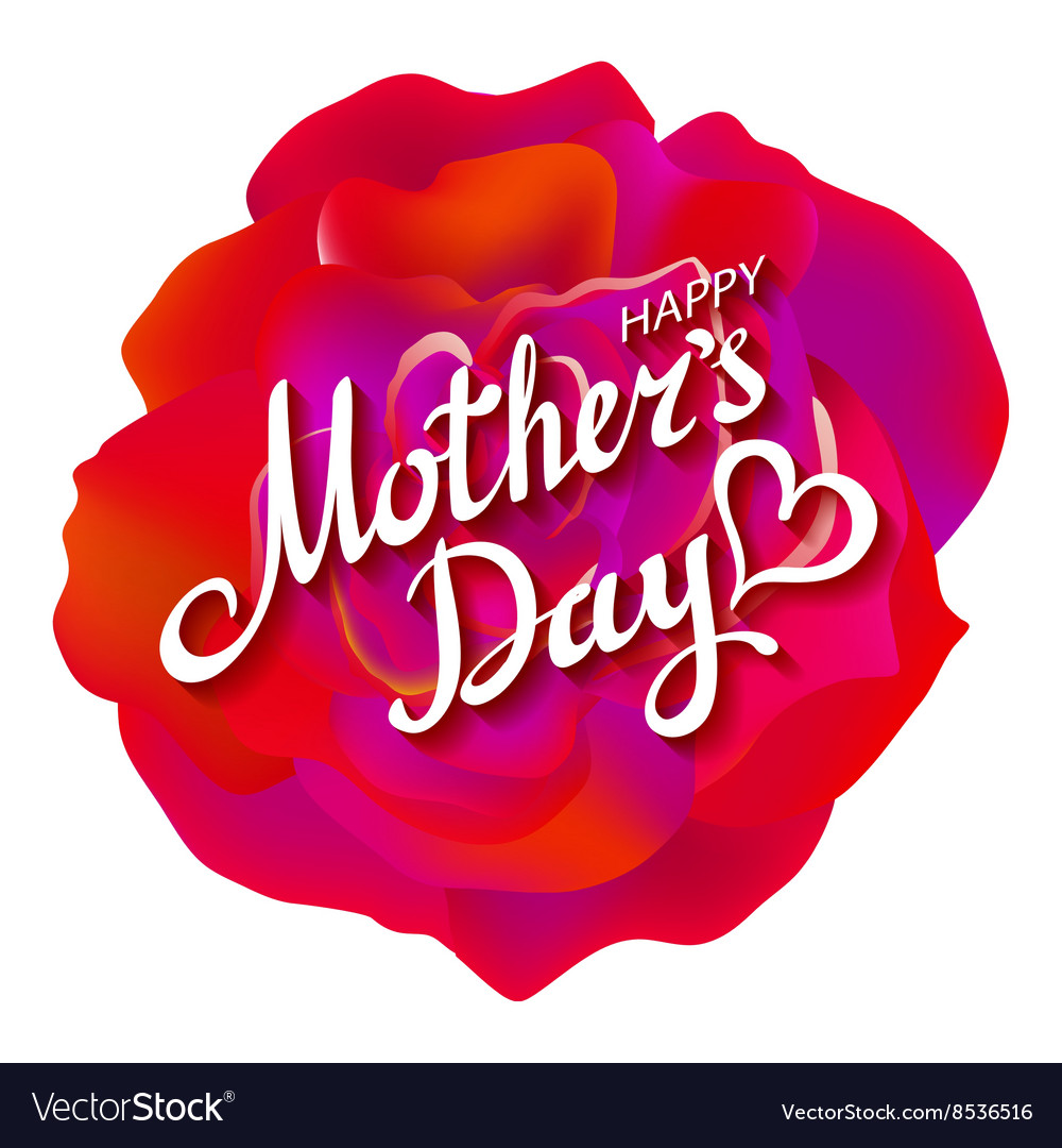 Happy mothers day beautiful blooming red rose Vector Image