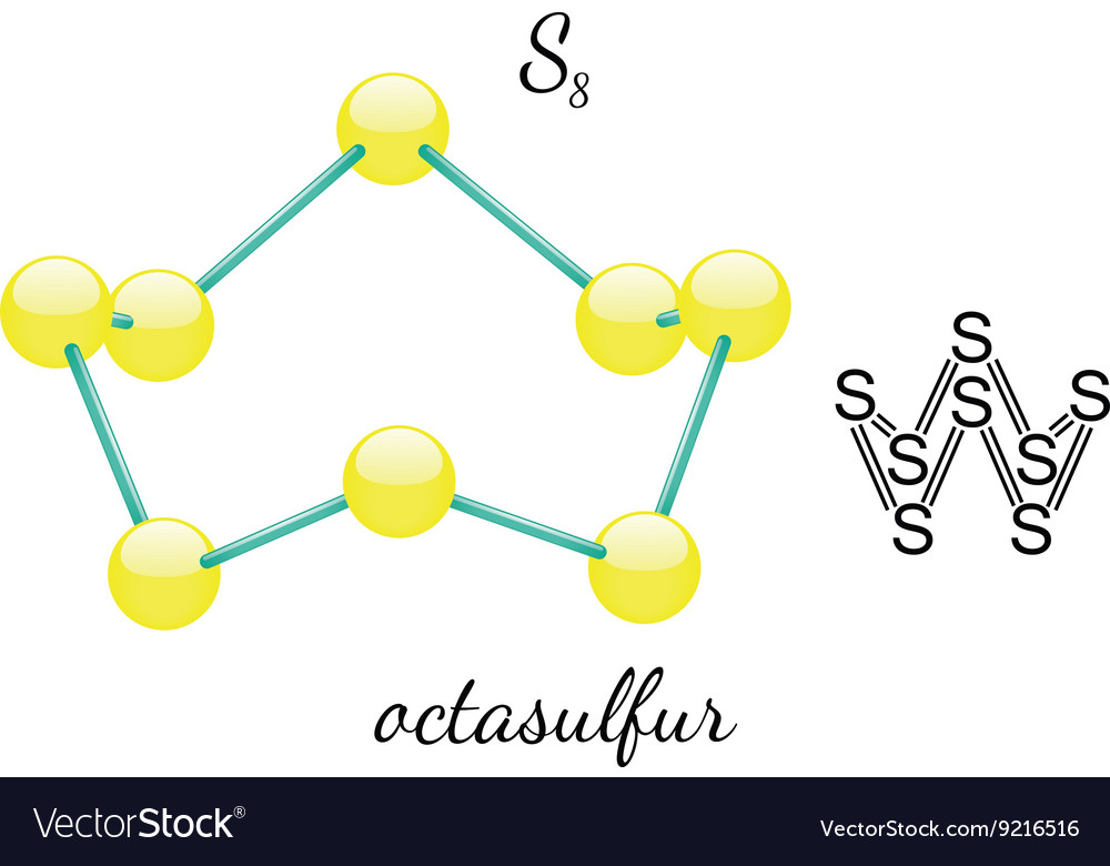 S8 octasulfur molecule Royalty Free Vector Image