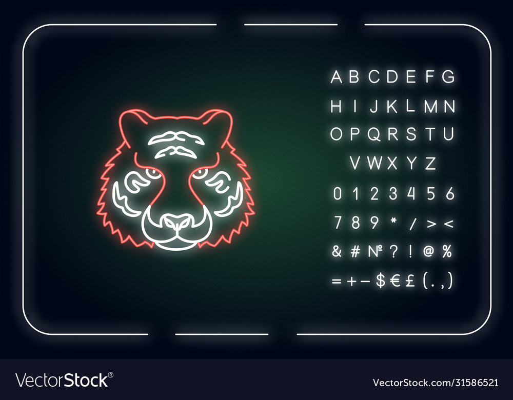 Bengal Tiger Neon Licht Ikone vector image Bengal Tiger Neon Licht Ikone