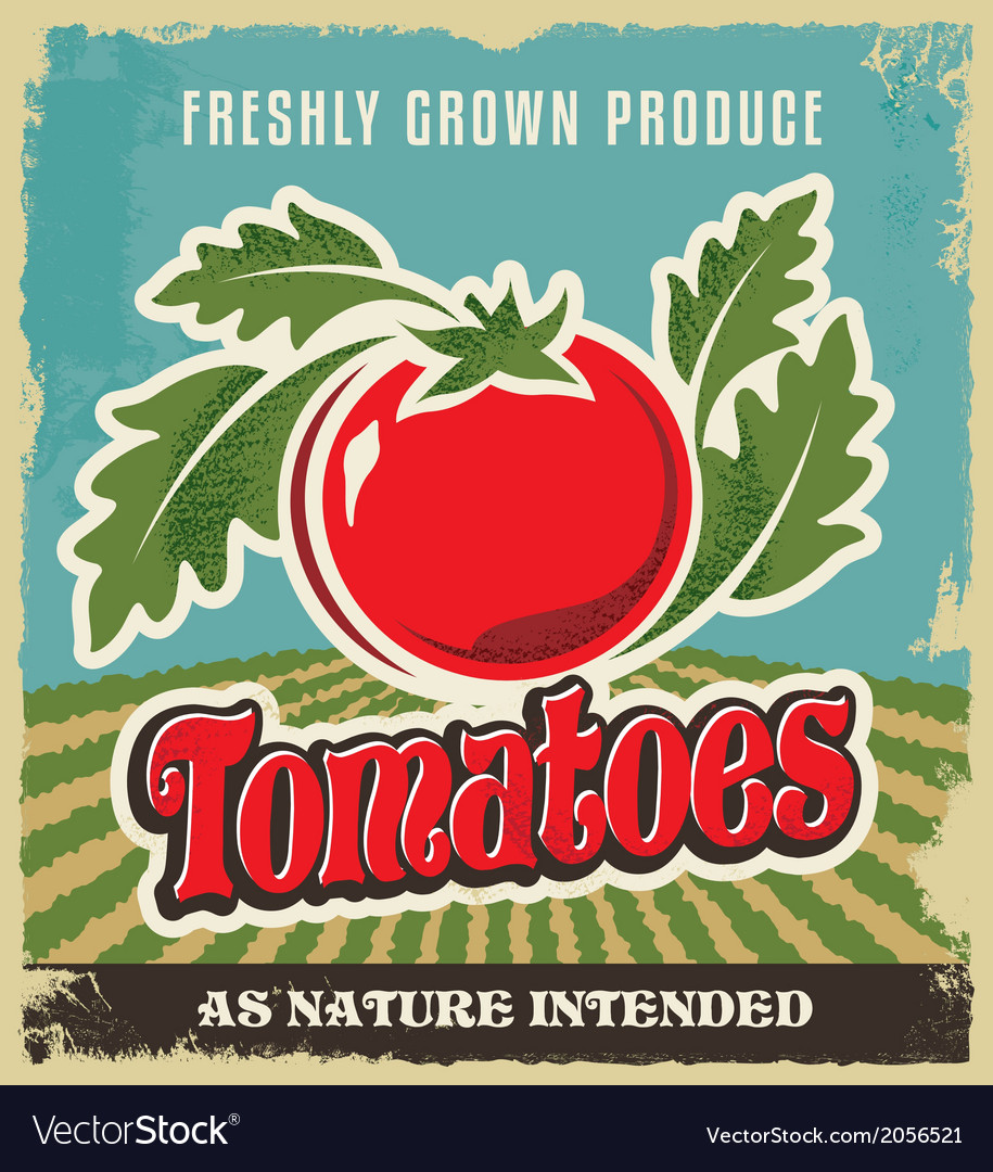 Retro tomato vintage advertising poster Royalty Free Vector
