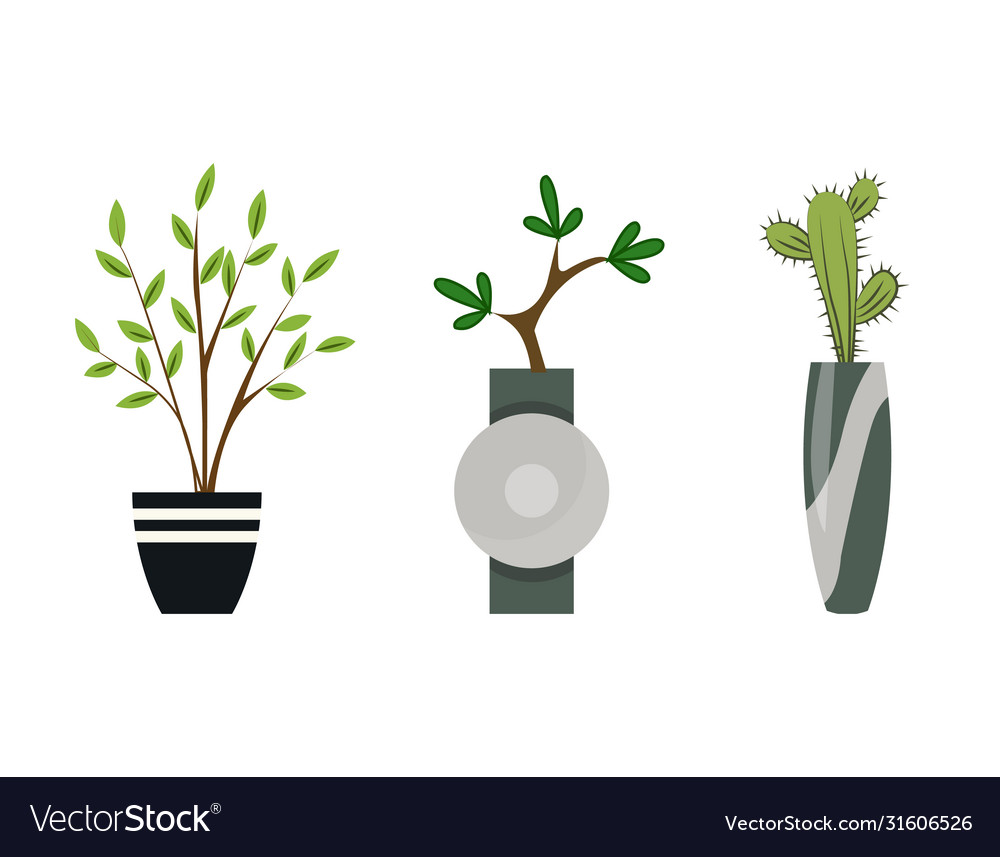 Sammlung Hauspflanzen in Töpfen zu Hause vector image Sammlung Hauspflanzen in Töpfen zu Hause