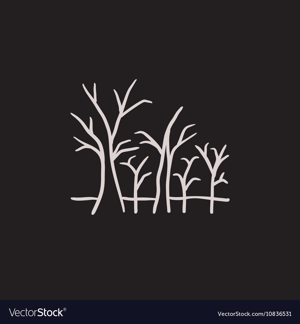 Tree with bare branches sketch icon