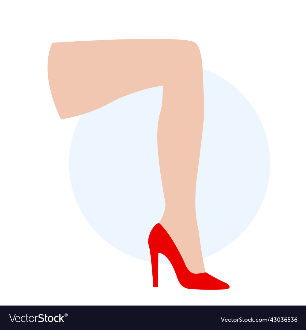 Female legs silhouette vector image Female legs silhouette