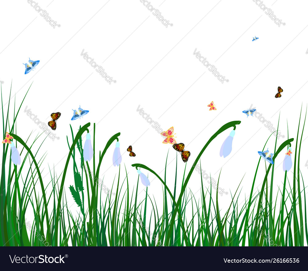 Summer meadow Royalty Free Vector Image - VectorStock