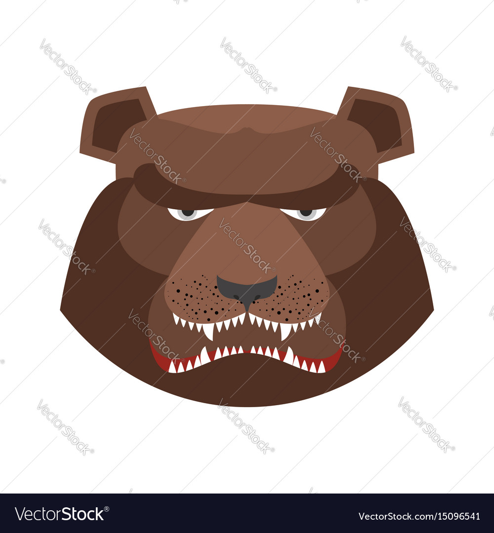 Angry Bear In Green Beret Aggressive Grizzly Head Vector Image