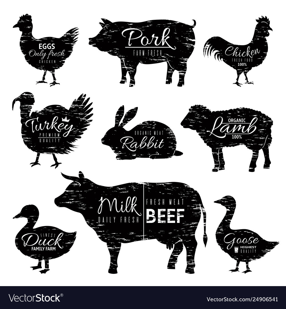 Butcher animals logo chicken goat turkey cow pig Vector Image Butcher animals logo chicken goat turkey cow pig Vector Image