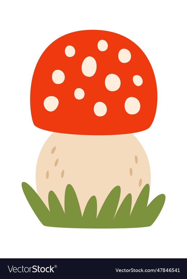 Fly agaric mushroom