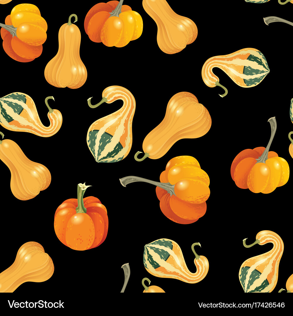 Different orange pumpkins seamless pattern Vector Image