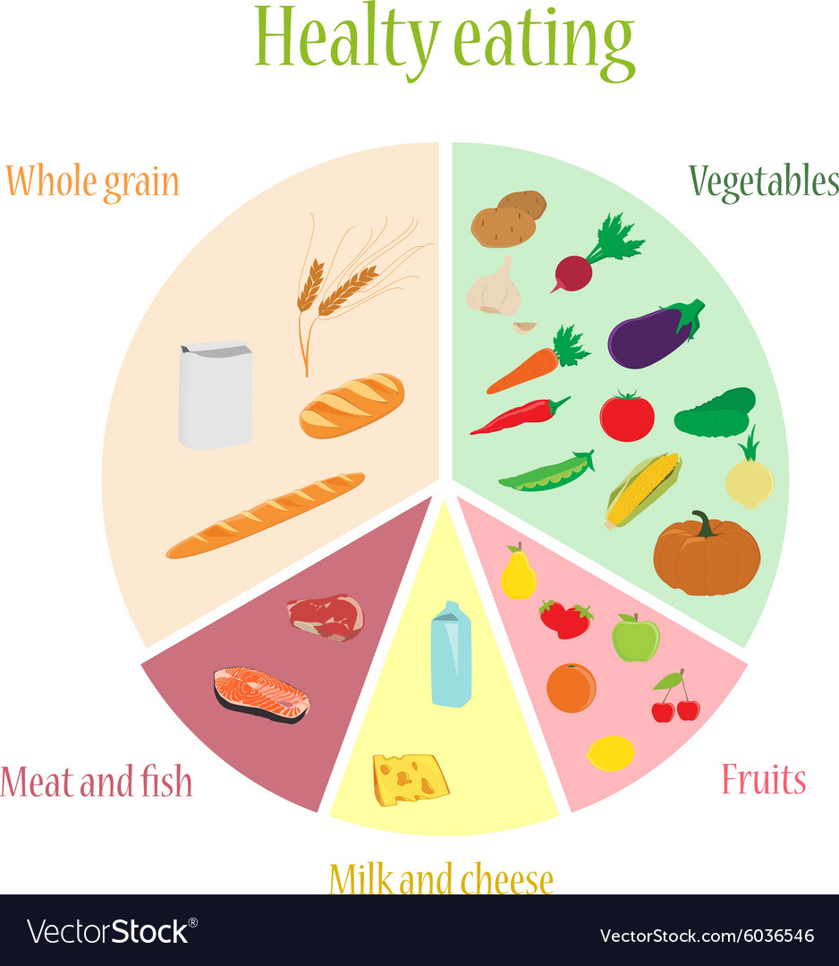 Healthy eating chart Royalty Free Vector Image