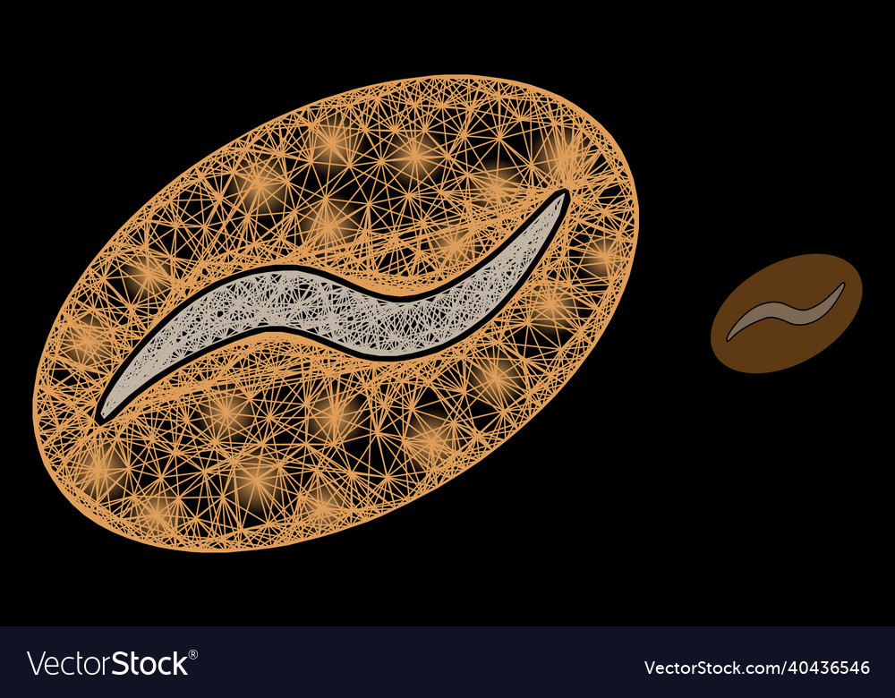 Shining net mesh coffee bean with lightspots