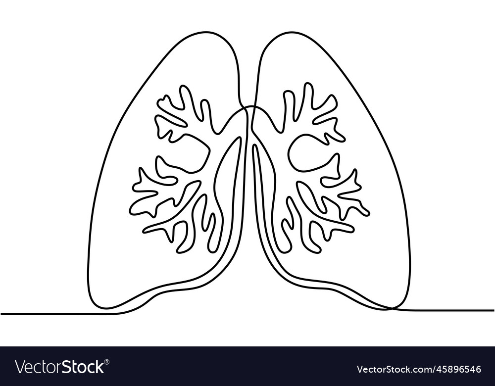 Single one continuous line of lungs human