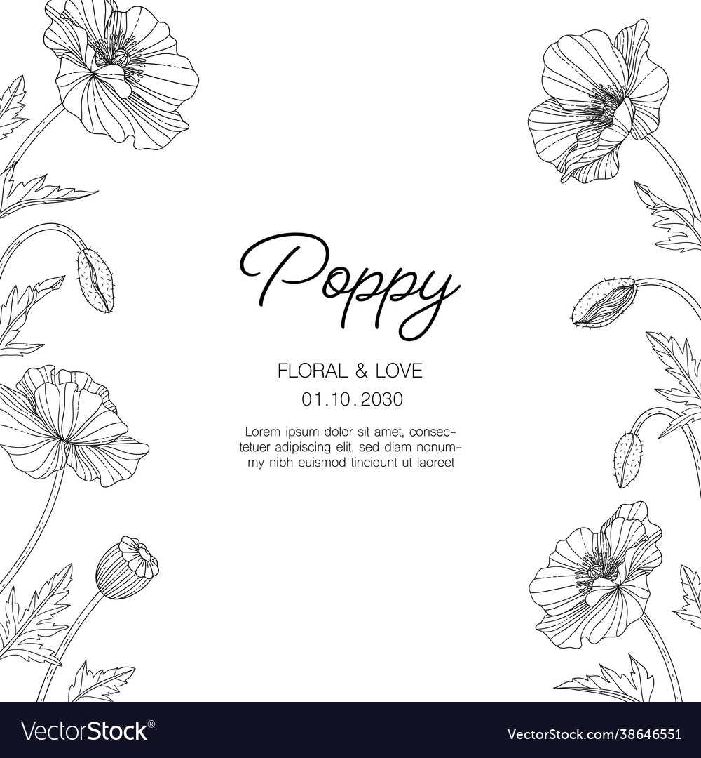 Hand drawn poppy floral greeting card background