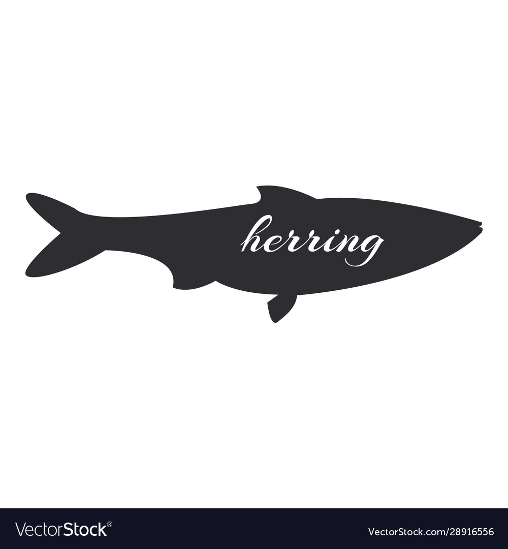 Atlantic herring europe fish black silhouette