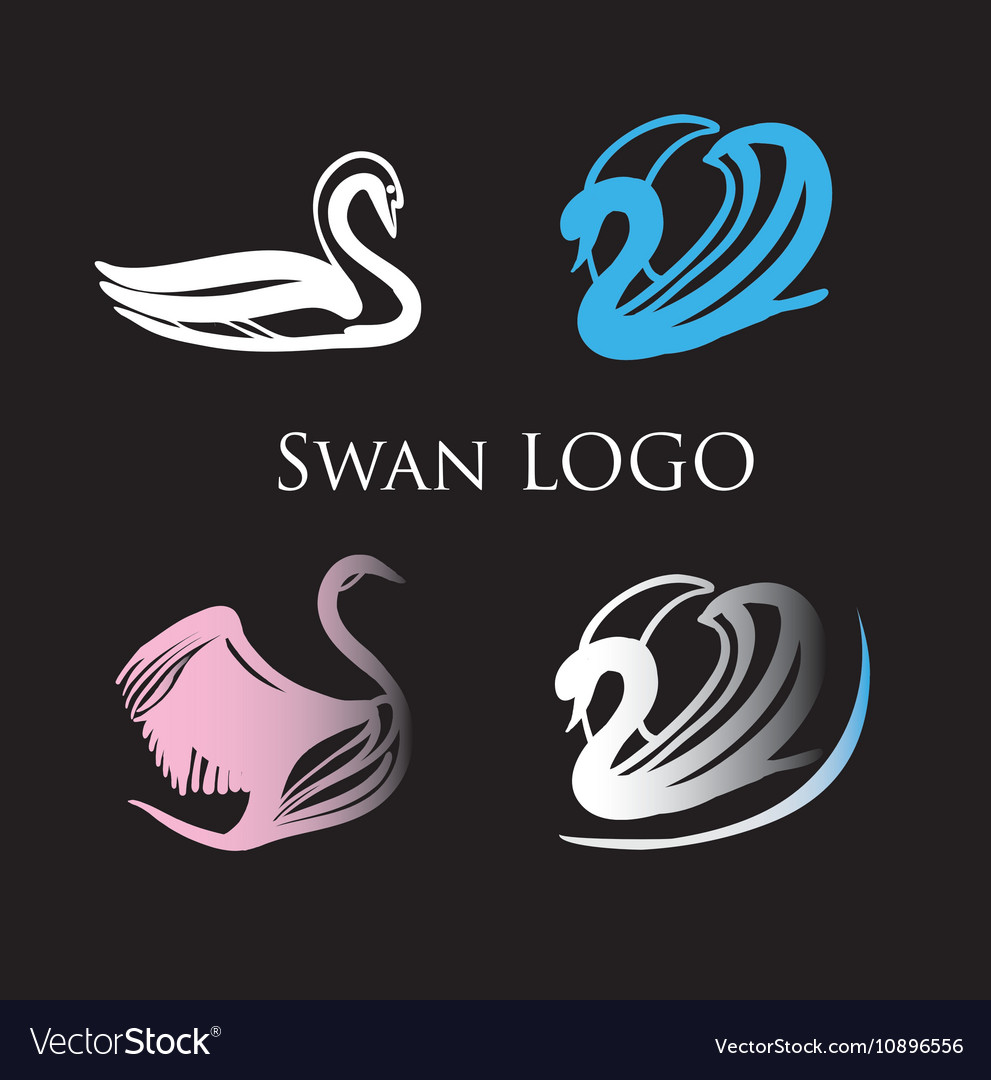 Black swans logo design template Royalty Free Image