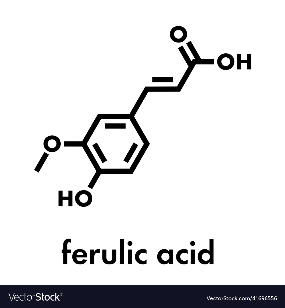 Ferulic acid herbal antioxidant molecule skeletal Vector Image