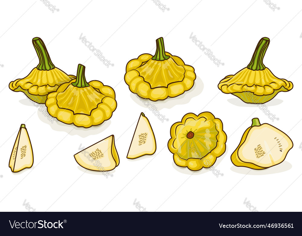 Set of yellow patty pan squash cartoon style