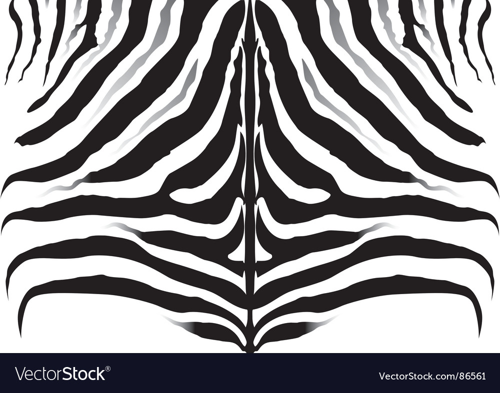 Zebra Stripes Texture Background