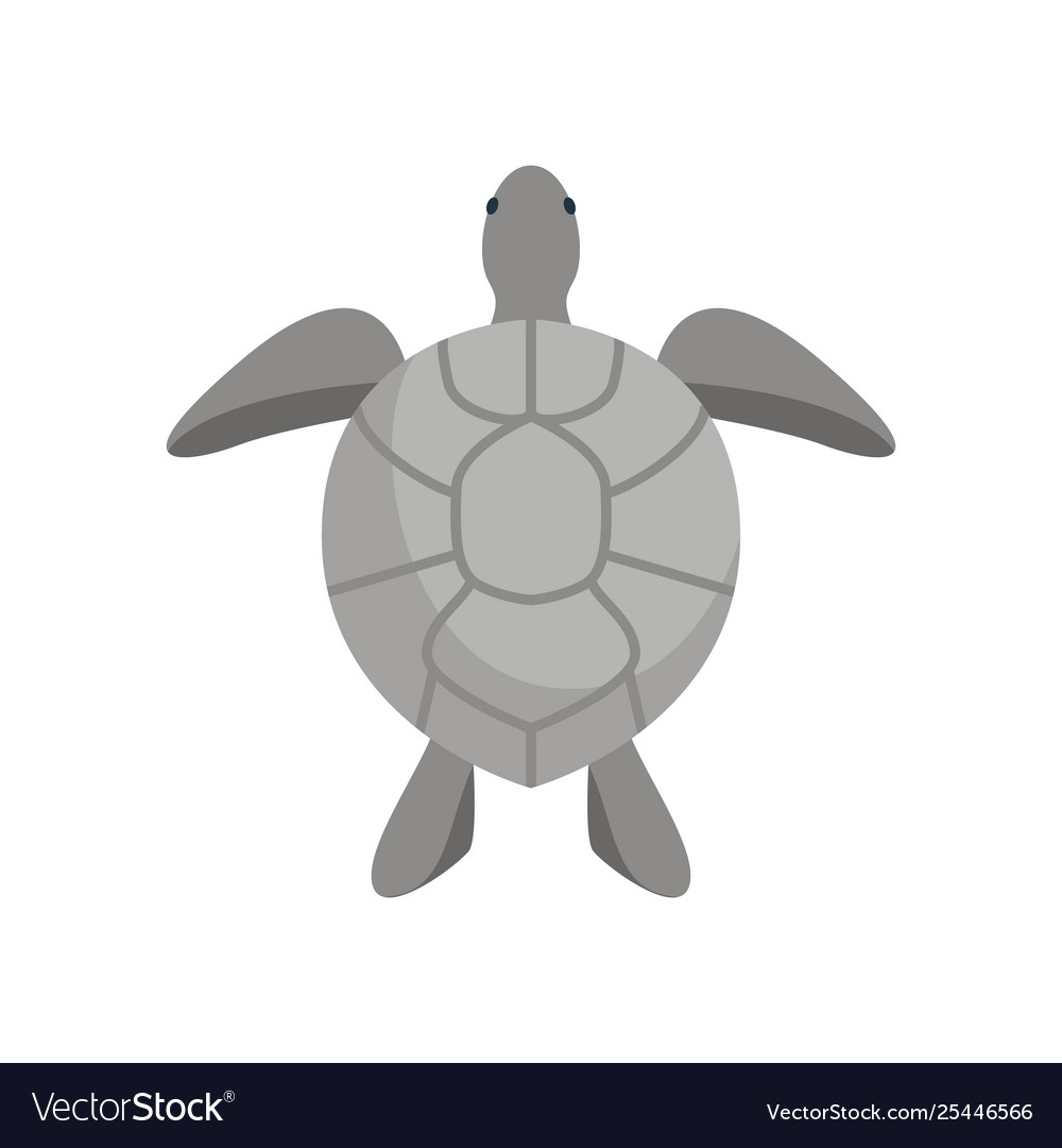 Tortoise Cartoon Black And White