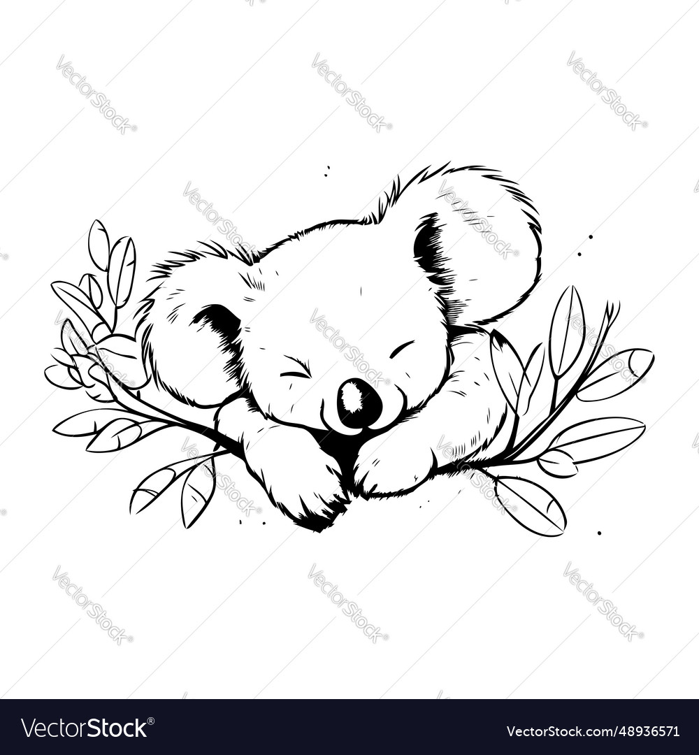 Cute koala sleeping on a branch hand drawn