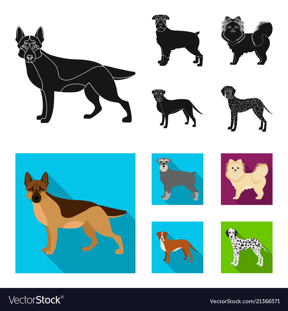 Dog breeds black flat icons in set collection