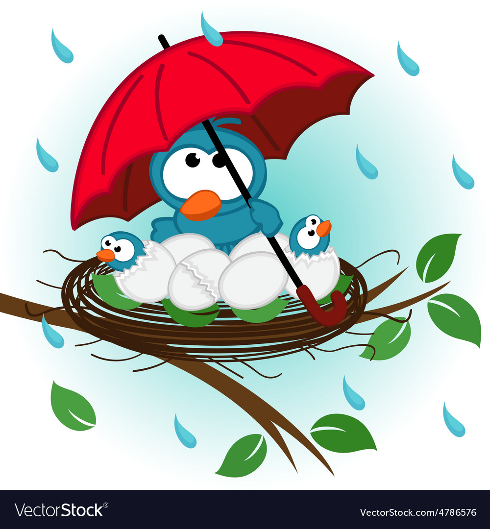 Bird under umbrella in nest Royalty Free Vector Image