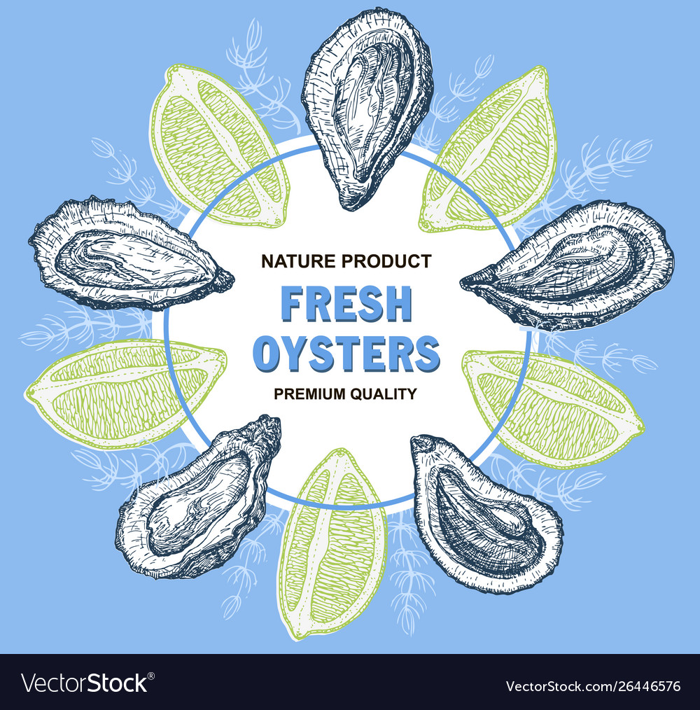 Mockup Fish Shrimp Vector Images 13