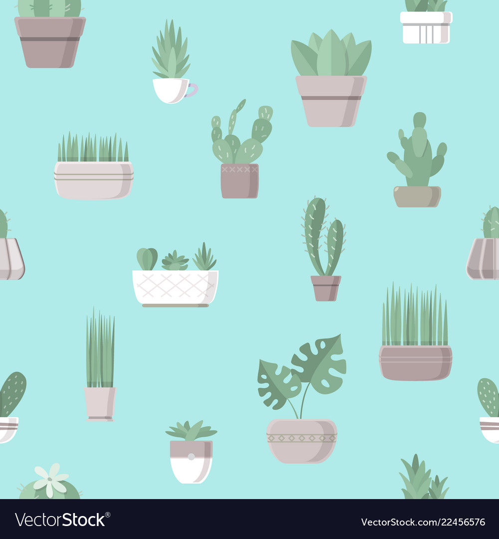 Seamless pattern with cactus and succulent