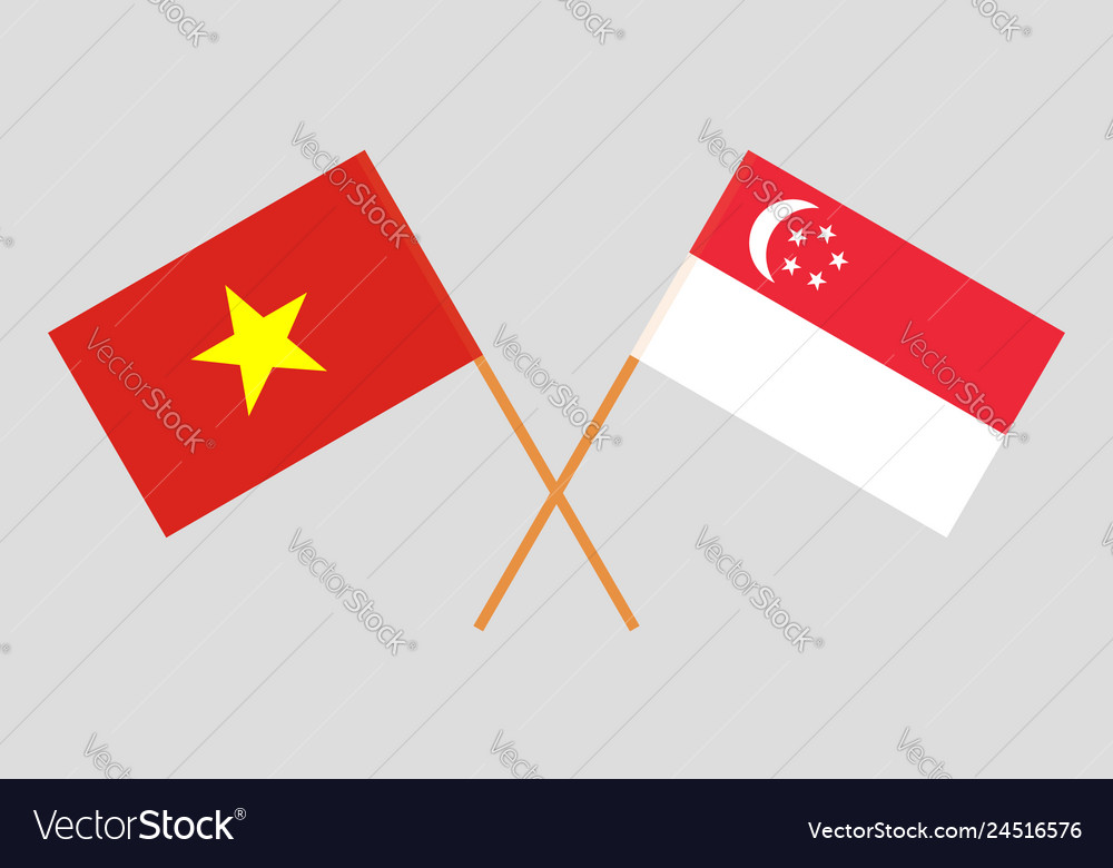 Singaporean and vietnamese flags