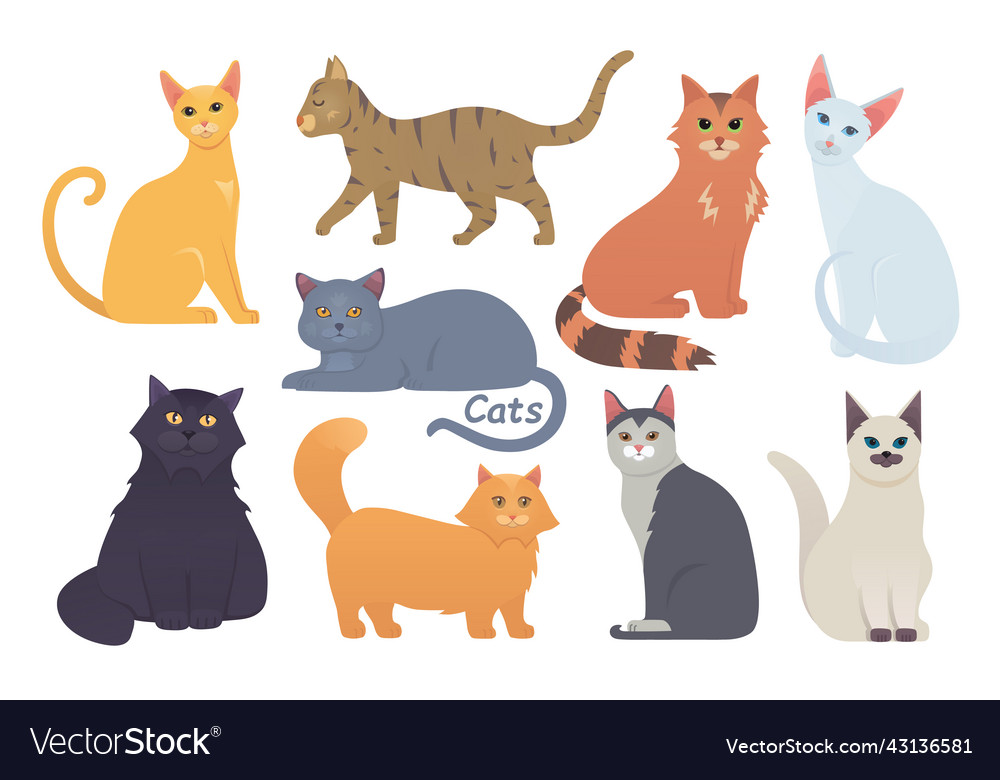 Cute cats set cartoon cat or kitten