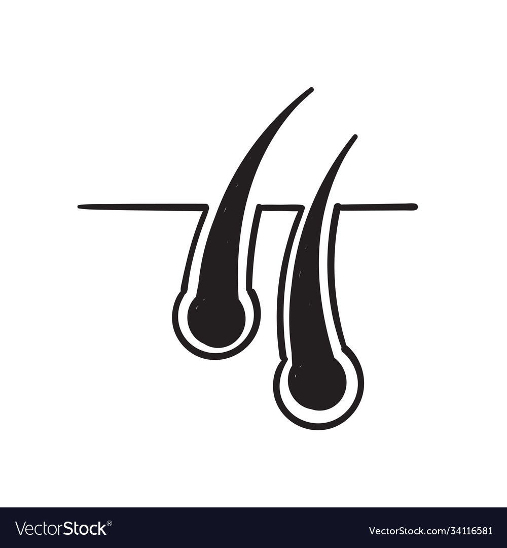 Hand drawn doodle hair icon isolated background Vector Image Hand drawn doodle hair icon isolated background Vector Image
