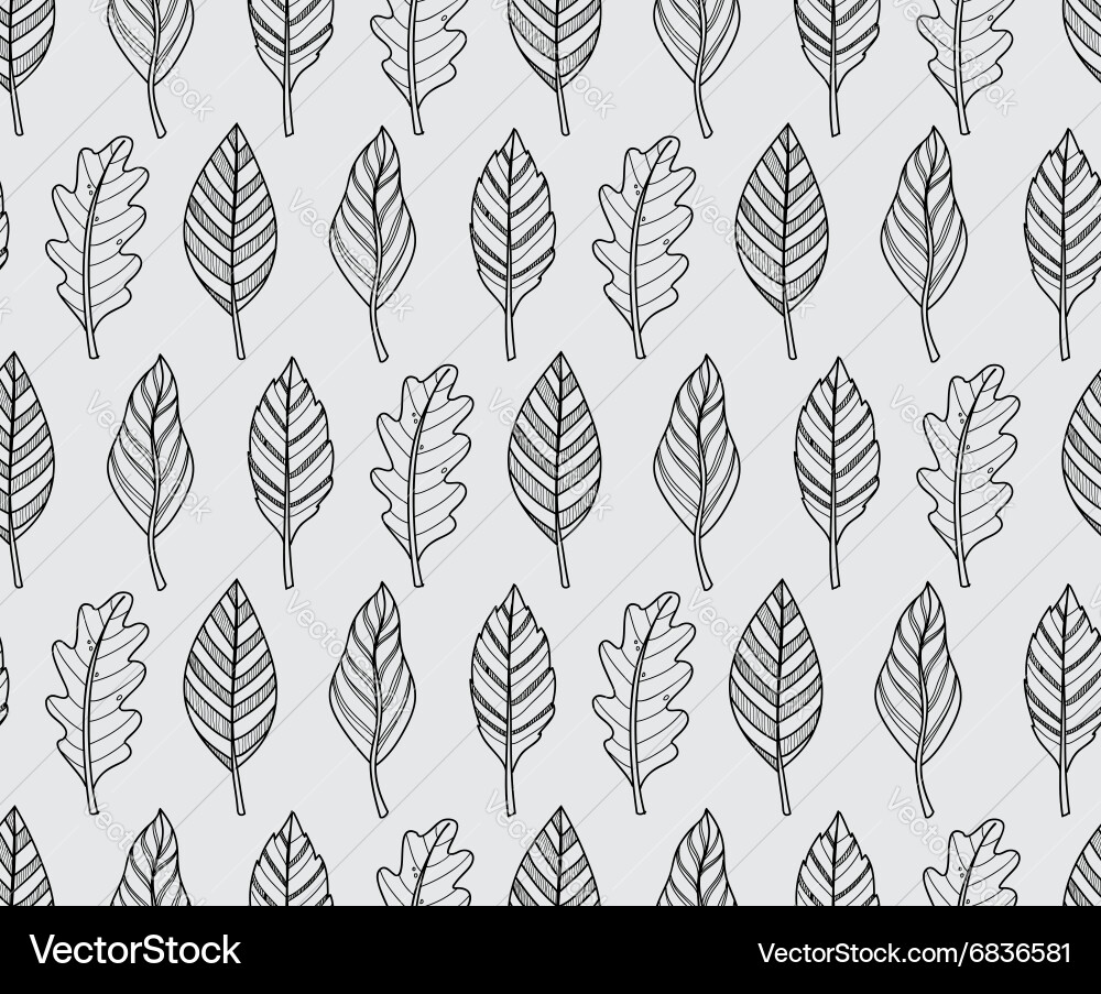 Leaf nature Royalty Free Vector Image - VectorStock